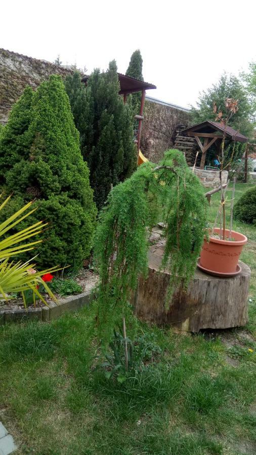 Penzion u Formana Stráž nad Nežárkou Esterno foto